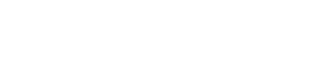 Spinamic Logo